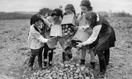 Schoolgirls gather potato crop harvest in 1943