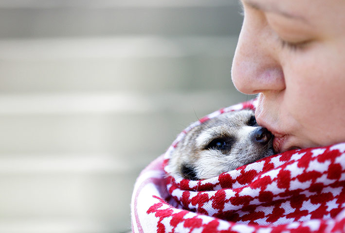 24 hours in pictures: Zookeeper Nadezda Radovic kisses a baby lemur