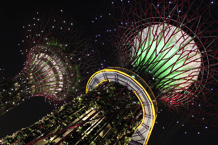 Tall Buildings: Lena Sharpe