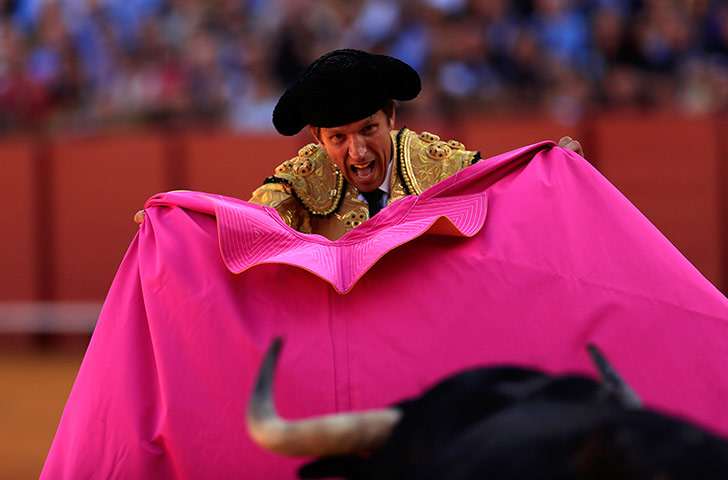 24 hours: Spanish matador Manuel Diaz 