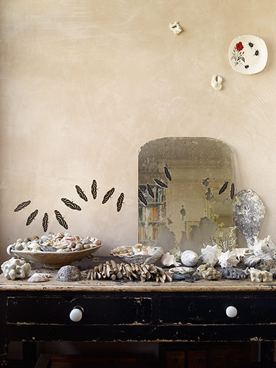 homes - lou rota: part of chest of drawers with seashells and other items against beige wall