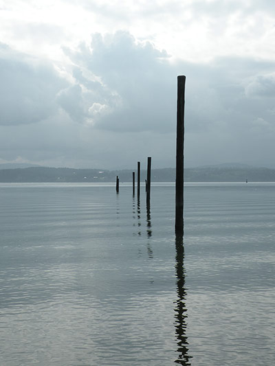 your pictures - post : wooden posts in a river with reflections