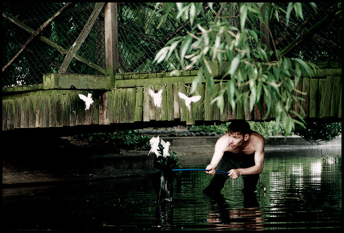 Mat Collishaw in pictures: Mat Collishaw, Catching Fairies 1, 1996
