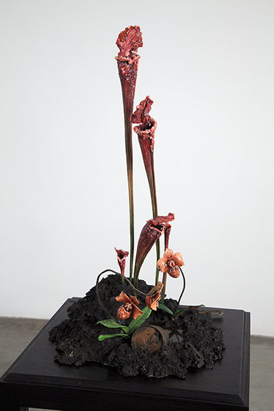 Mat Collishaw in pictures: Mat Collishaw, The Venal Muse, Fenside, 2012