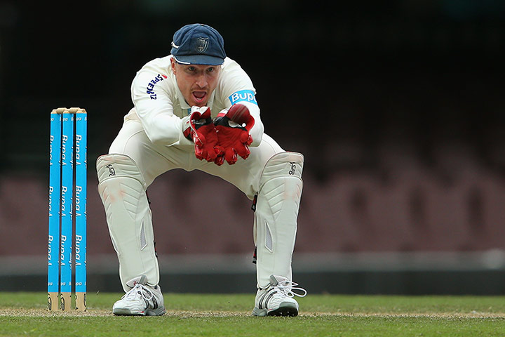 Ashes squad 2: Brad Haddin