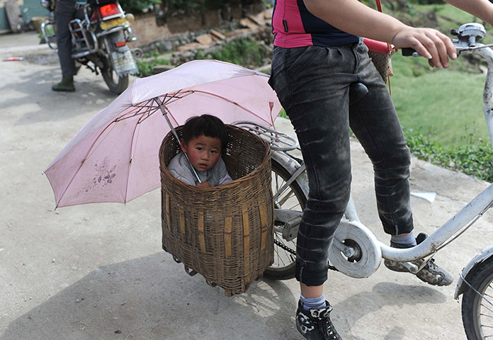 24 hours in pictures: a child in a basket