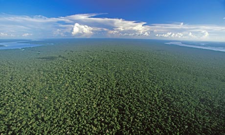 Aerial view of the Amazon Rainforest
