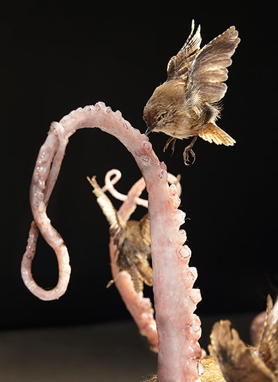 exhibitionist2704: The Nature Of The Beast