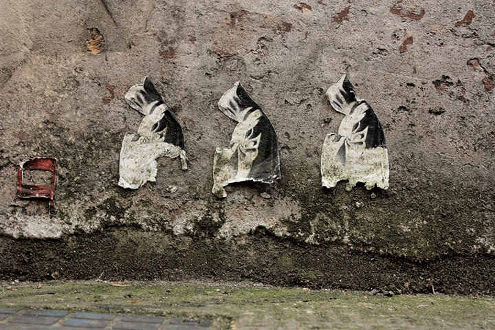 Guardian Camera Club: A review of Nicolas C's portfolio