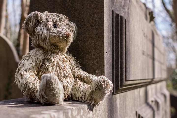 Guardian Camera Club: A review of Nicolas C's portfolio