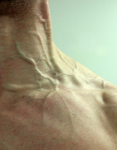 Guardian Camera Club: A review of Nicolas C's portfolio