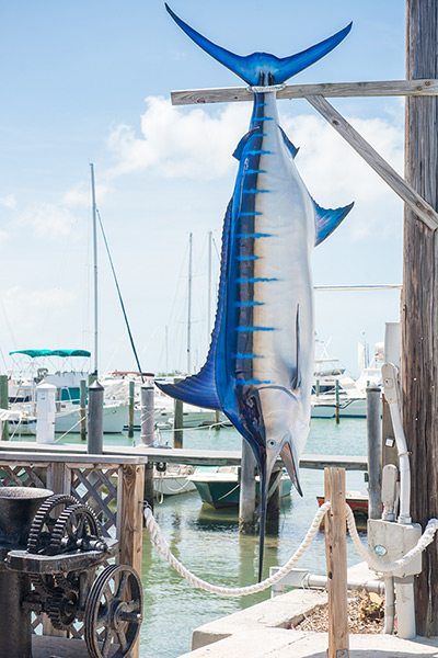 Key West City Guide: Key West Turtle Museum