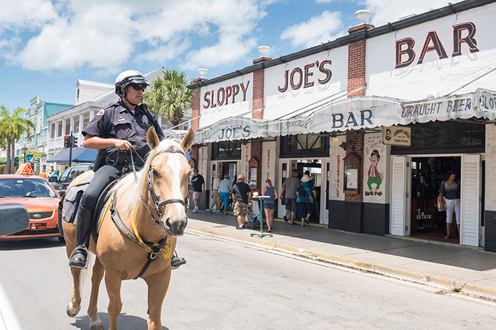 Key West City Guide: Key West Police Dept on horse