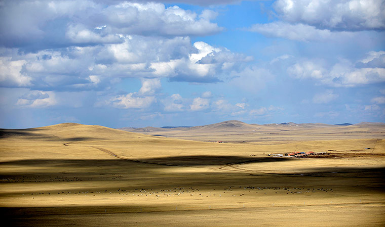 Week in wildlife: China Inner Mongolia-ulgai-scenery