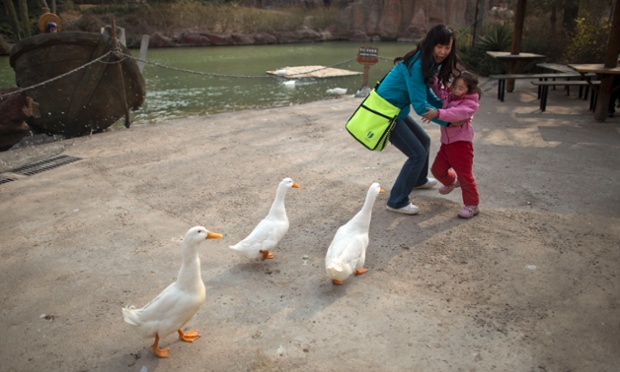 Quack Attack! A woman and her daughter prepare to take evasive action at an amusement park in Beijing, China.