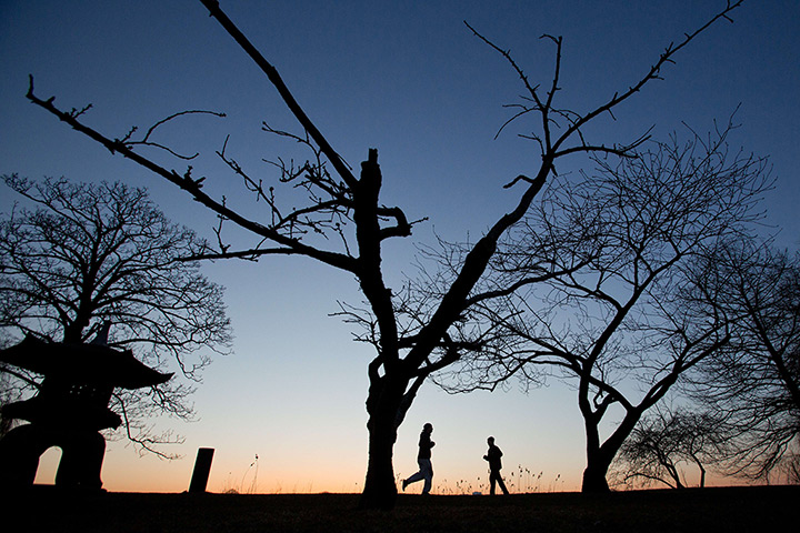 24 hours: Hamburg, Germany: Joggers run at sunrise underneath leafless trees along th