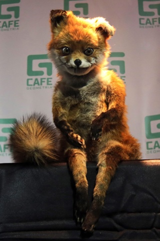 c9deebc9-c610-46ff-92d0-189a8bf20f68-320