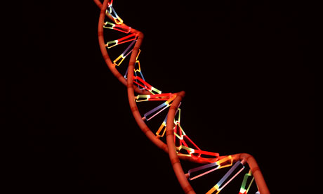 To the right ... how DNA should look.