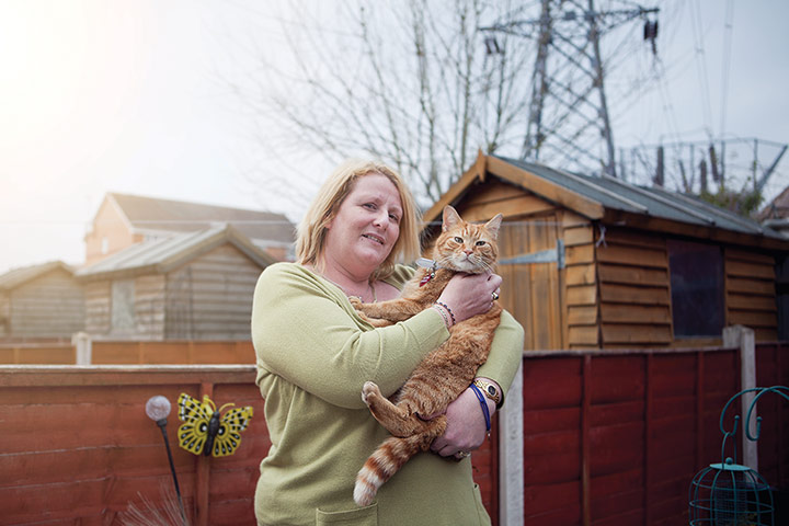 Action on Stroke month: cat and shed