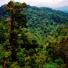 Impact of deforestation on wildlife in the greater Mekong - in pictures