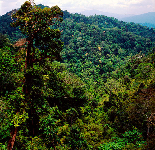 Greater Mekong: Thailand