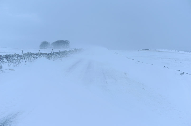 Week in wildlife: Snow And Rain Hit Britain In Coldest March In 50 Years