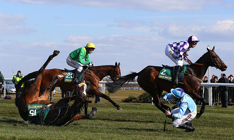 Dangers of Aintree: Horse Racing