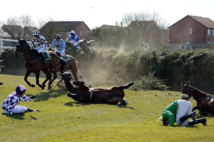 Dangers of Aintree: Competitors fall at Beechers Brook