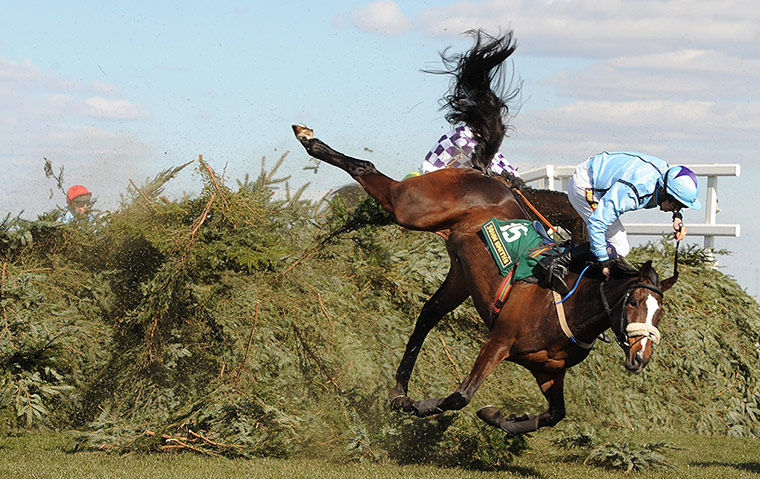 Dangers of Aintree: Horse races in Aintree
