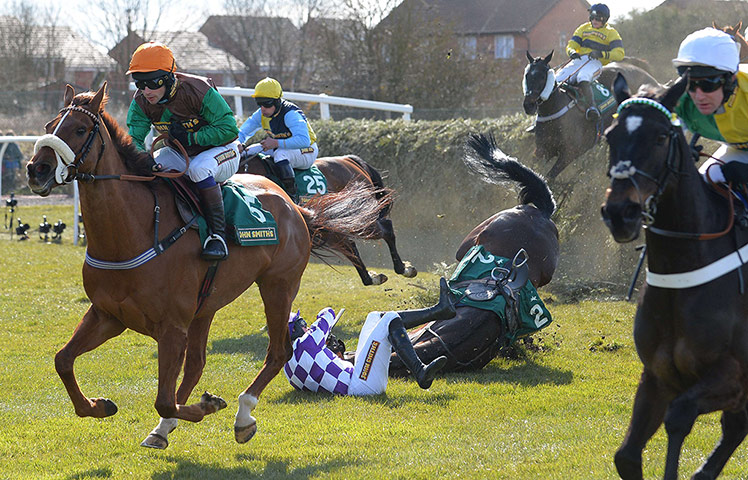 Dangers of Aintree: Horse 'Bold Addition'
