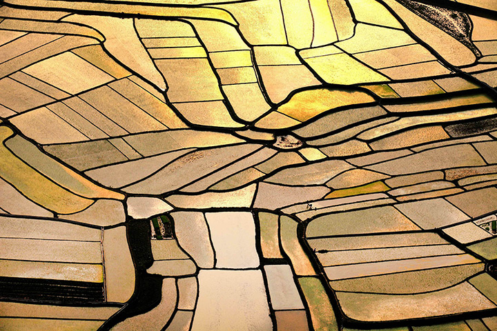 24 hours in pictures: Paddy Fields in China