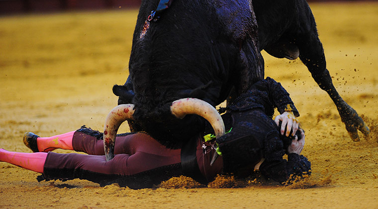 Best of the week: A bull gets his own back on Spanish banderillero Luis Garcia 