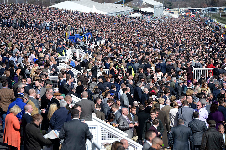 Grand National: Crowd at Aintree
