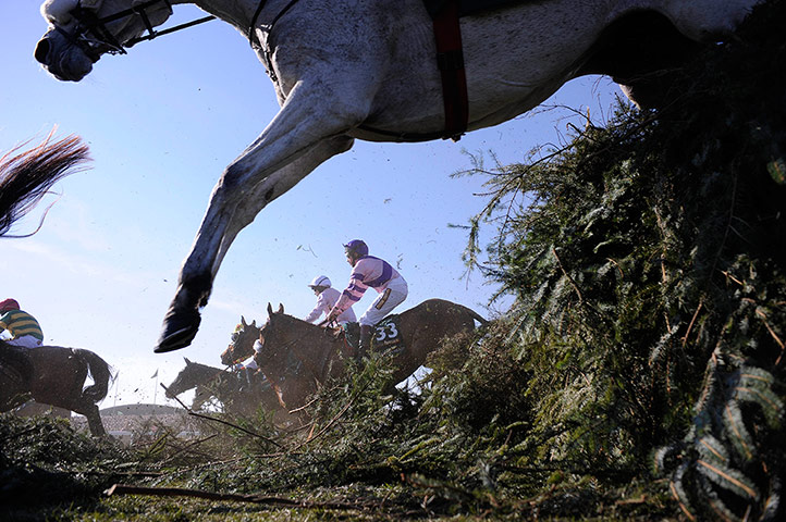 Tom Jenkins Aintree: The birch flies as horses leap at the Chair 