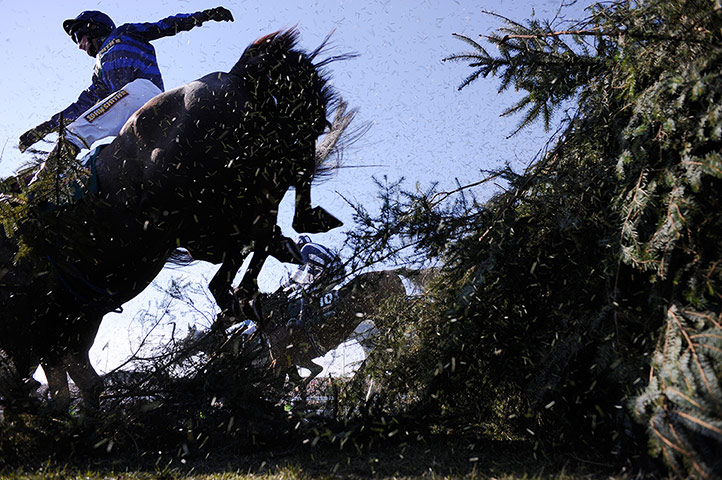 Tom Jenkins Aintree: Mark Grant on board Soll crashes through The Chair 