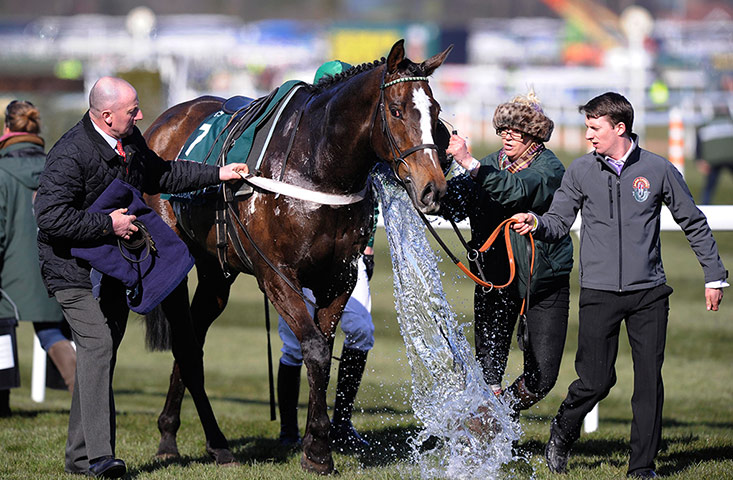 Tom Jenkins Aintree: Roberto Goldback gets doused in water after the race