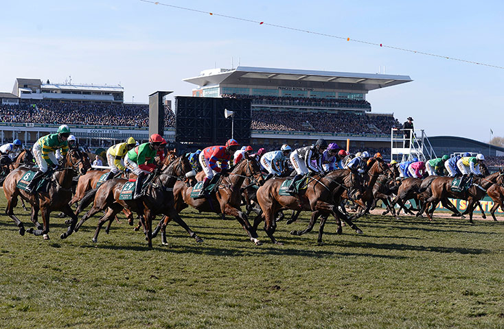 Tom Jenkins Aintree: Start of the Grand National