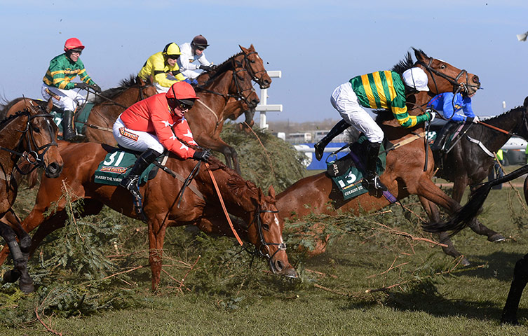 Tom Jenkins Aintree: Tony McCoy falls off Colbert Station