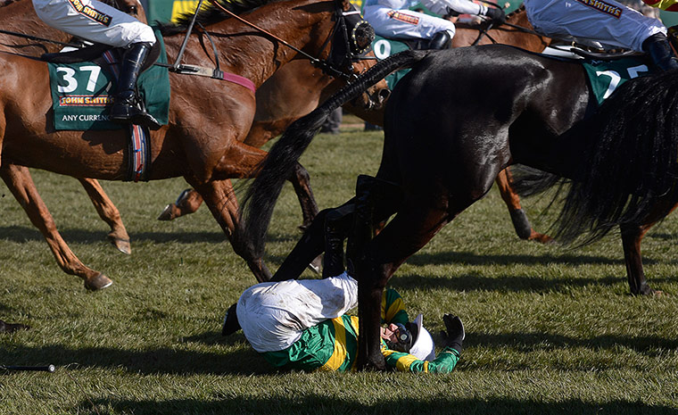 Tom Jenkins Aintree: Tony Mccoy falls