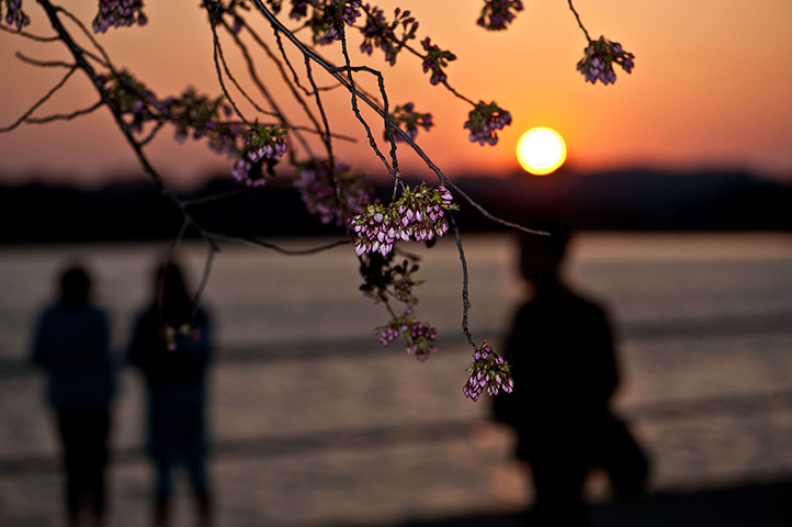24 hours in pictures: People enjoy the sunset in Washington DC