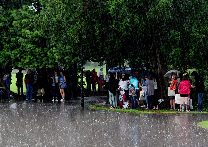 Your Pictures - April 13: people sheltering under trees while it rains in a park 