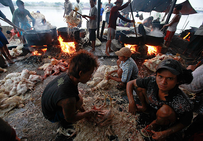 24 hours: Rangoon, Burma: Workers remove feathers from chicken