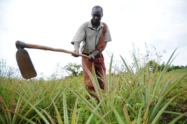 Gallery: Healthworkers at the frontlines