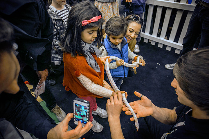 London Pet Show: Children with a snake