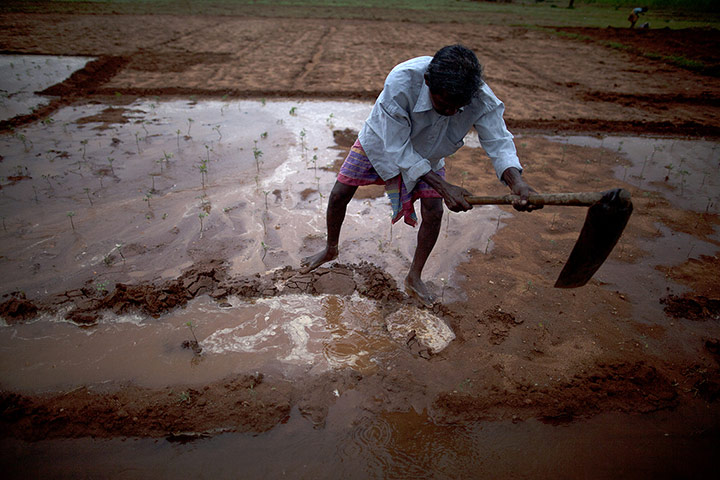 Bengal by Gerry Judah: Exhibition that explores the effects of global climate change in India