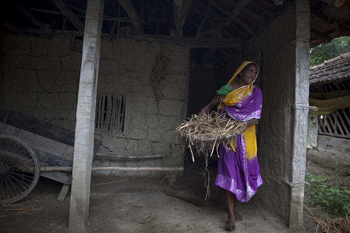 Bengal by Gerry Judah: Exhibition that explores the effects of global climate change in India