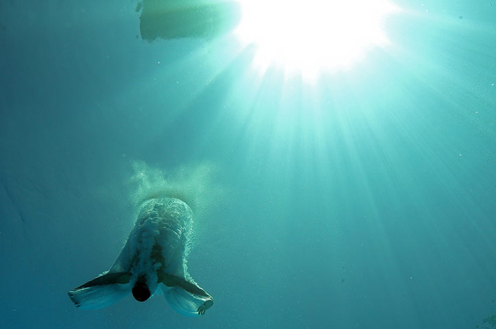 USA Diving Grand Prix: David Boudia