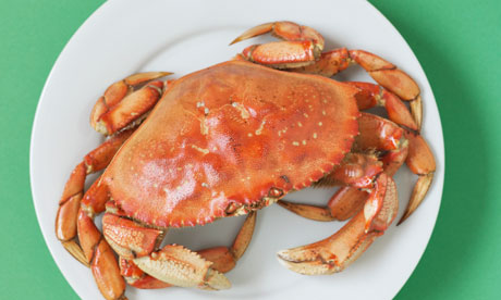 Crab on a Plate