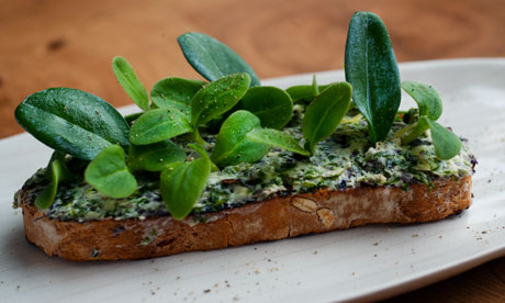 Potato and rye bread, seaweed butter, oyster and borage leaves