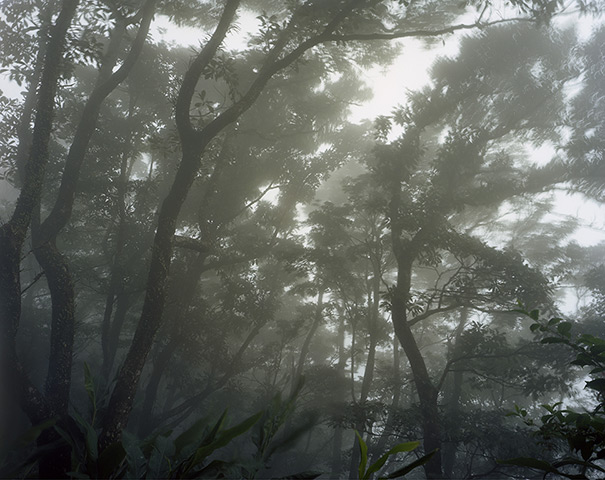 Look 13: liverpool international photography festival